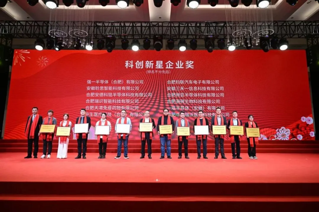J9集团电子荣获2025年度岳阳经开区“科创新星企业奖”